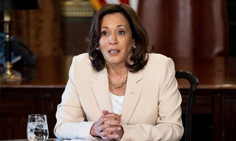 Kamala Harris Calls For Gun Violence Prevention