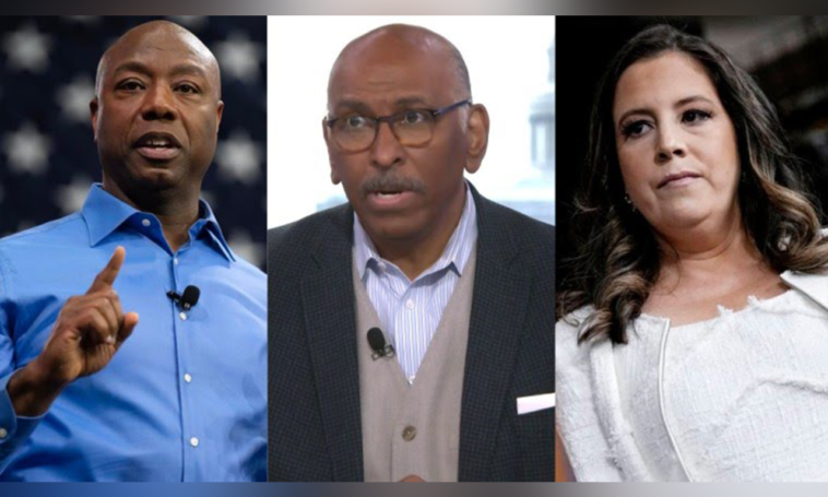 Michael Steele Criticizes Tim Scott and Elise