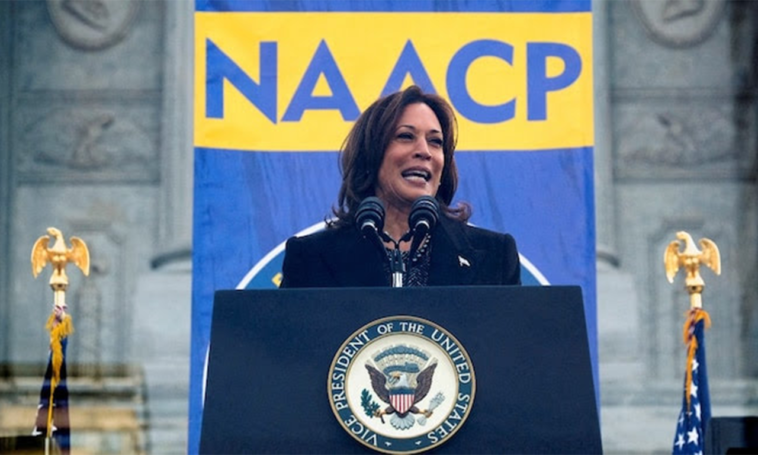 Kamala Harris warns of threats to American