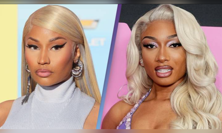 Minaj's fans are calling to desecrate Megan