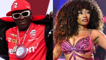 Flavor Flav Defends Megan Thee Stallion