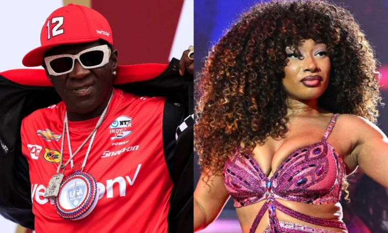 Flavor Flav Defends Megan Thee Stallion