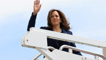 Webpage rating Kamala Harris as the 'most liberal' senator in 2019 vanishes suddenly